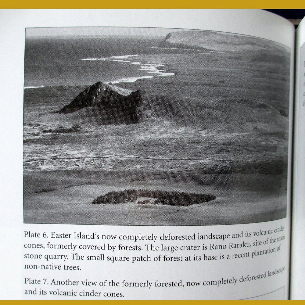 Book - Collapse: How Societies Choose to Fail or Succeed, by Jared Diamond - Picture 11 of 15